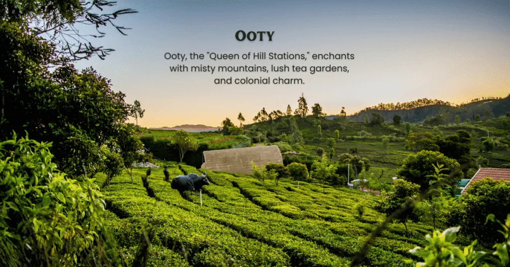 ooty kodaikanal munnar honeymoon pakages