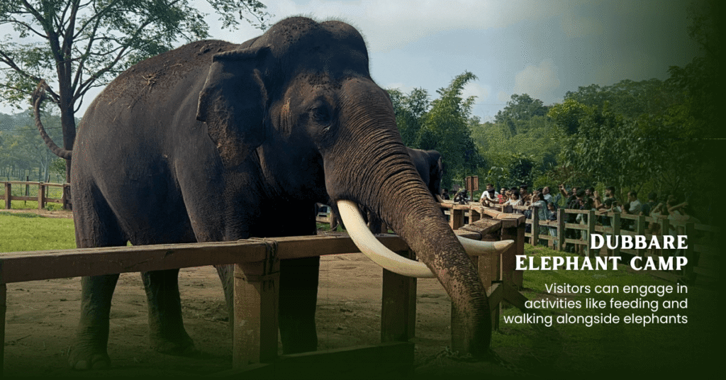 Bekal Coorg Mysore Ooty Wayanad 