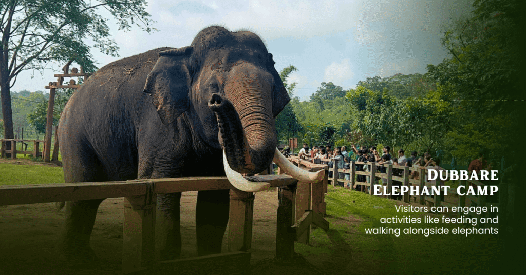 Bangalore Coorg Wayanad Ooty Tour