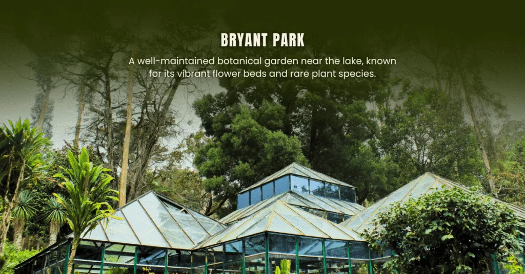 South India Tour packages