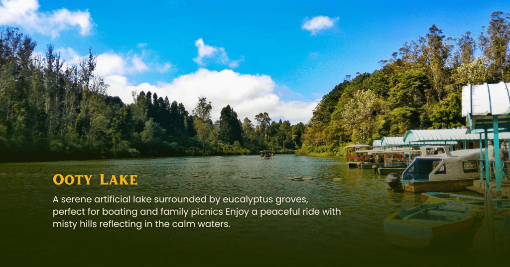 Bangalore Coorg Wayanad Ooty Tour