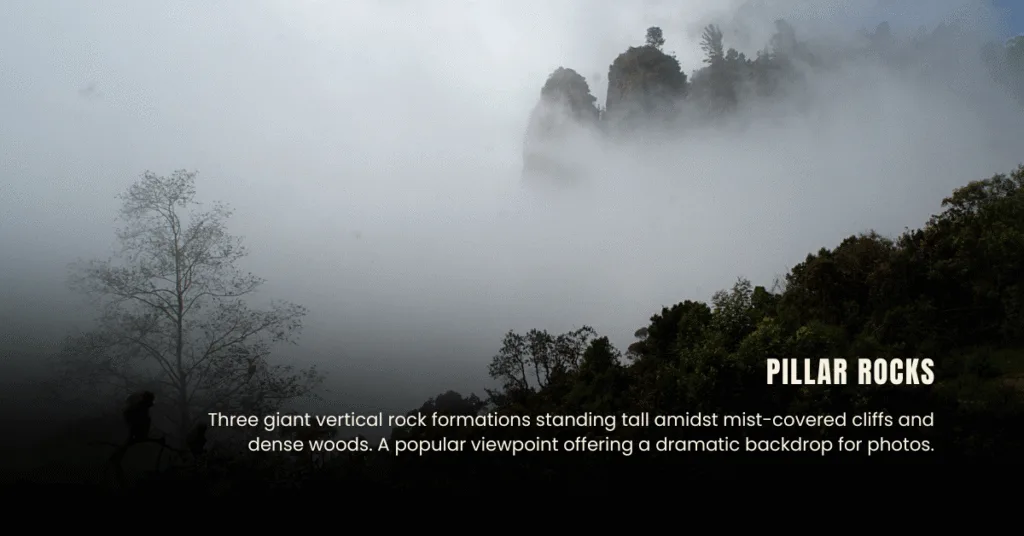 Places to Visit in Munnar