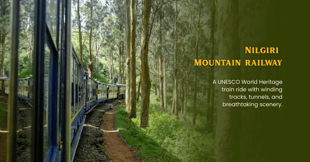 ooty kodaikanal munnar tour package 