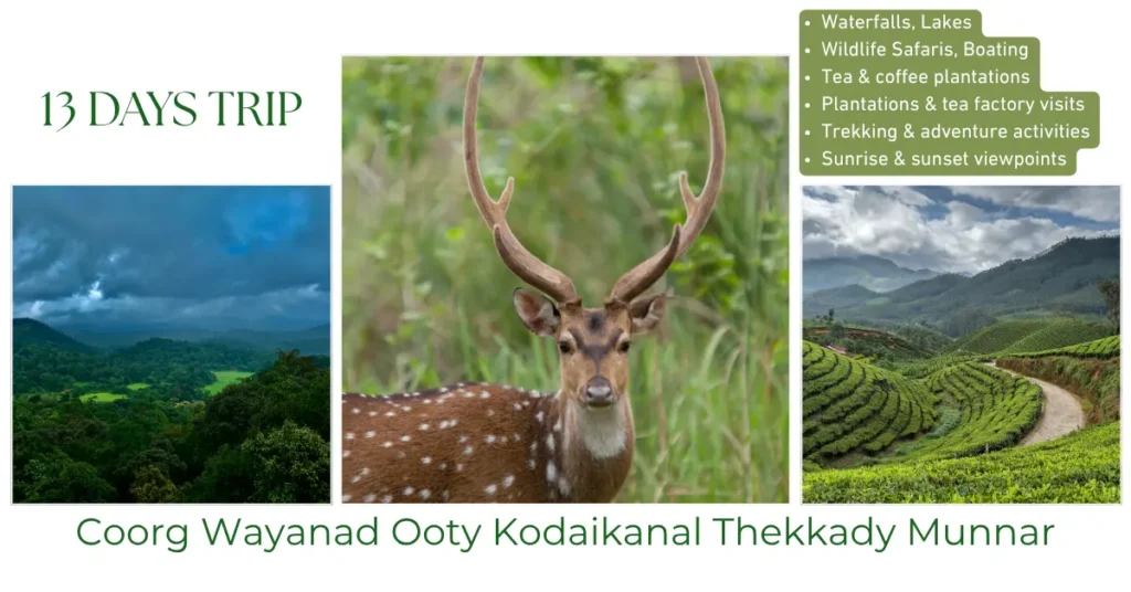 Coorg Wayanad Ooty Kodaikanal Thekkady Munnar