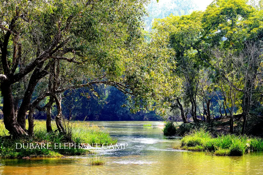 Dubare Elephant Camp Coorg - Included in Coorg Wayanad Package