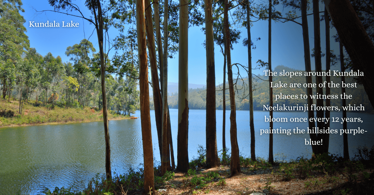 Munnar Thekkady Alleppey Itinerary