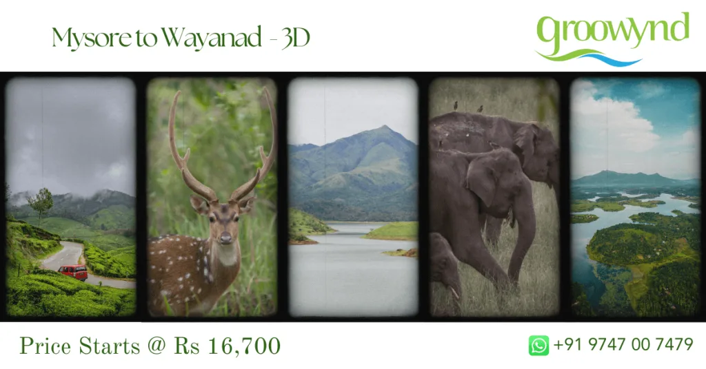 Mysore to Wayanad