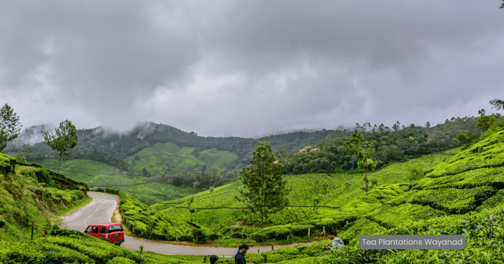 Soochipara Waterfalls