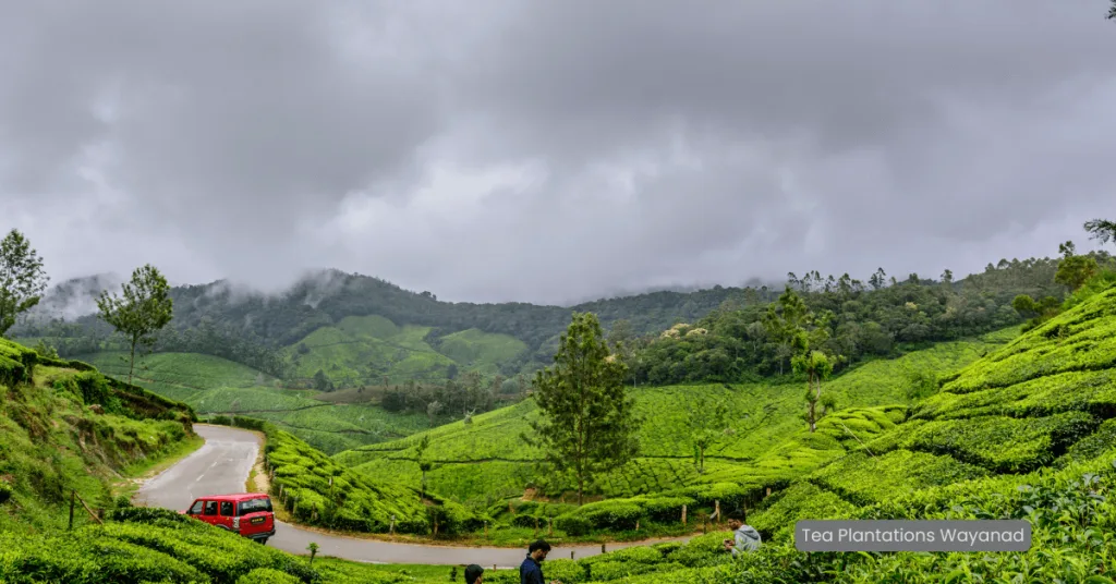 Soochipara Waterfalls