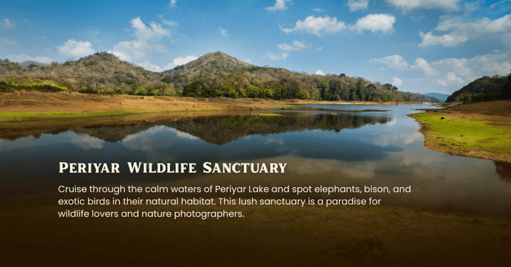 Coorg Wayanad Ooty Kodaikanal Thekkady Munnar Tour