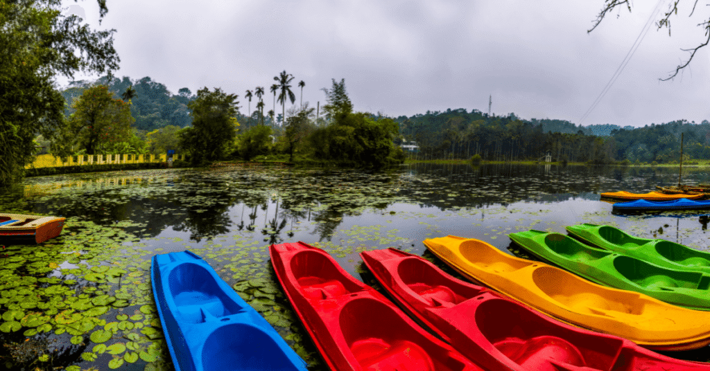 Thrissur to Wayanad Tour Package