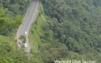 Lakkidi View Point Wayanad