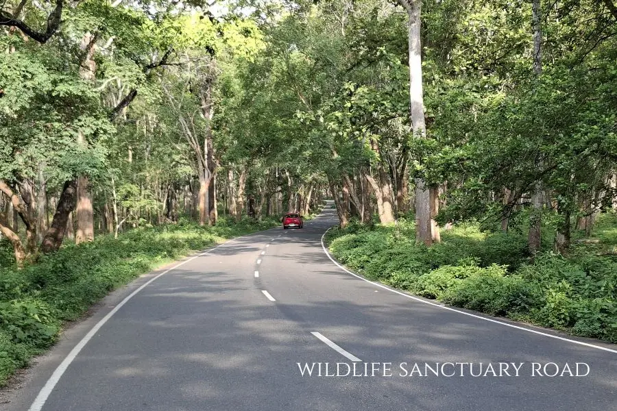 Muthanga Forest Safari Fee