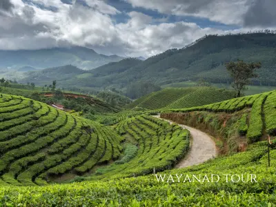 Wayanad Group Tour Packages from Chennai