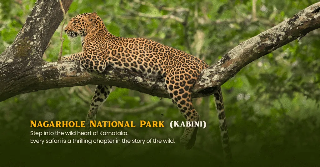Coorg Kabini Wayanad Tour Packages