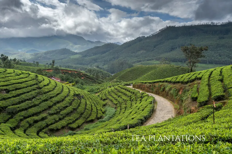 South India Package