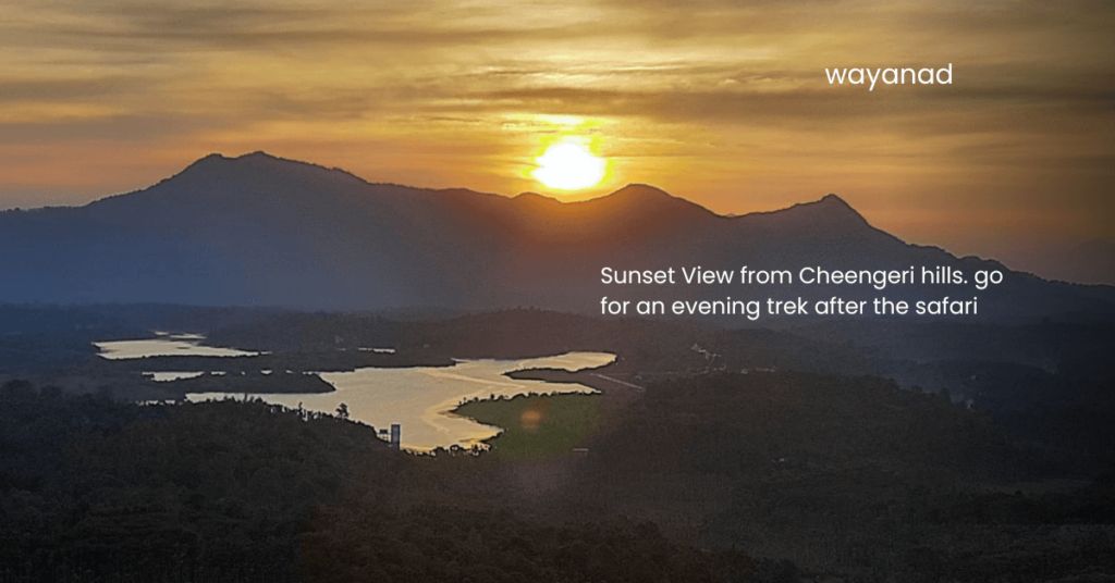 muthanga wildlife sanctuary timings