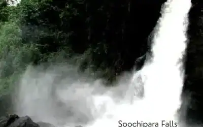 Soochipara Waterfalls