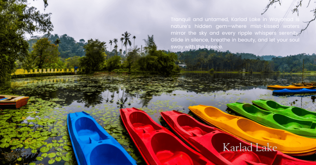 wayanad trip from mysore