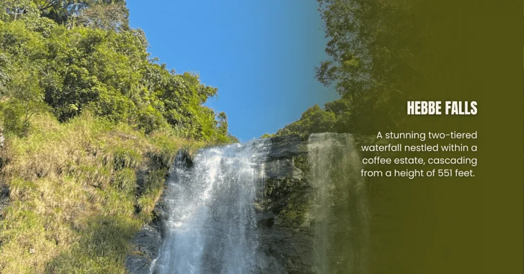 Coorg Chikmagalur packages