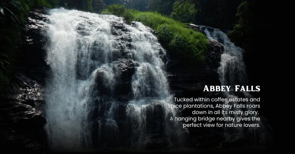 coorg chikmagalur tour packages from hyderabad