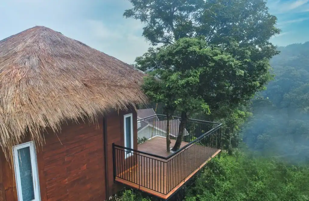 jungle bay resort wayanad price