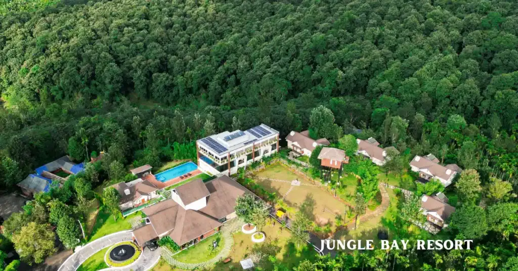 jungle bay resort