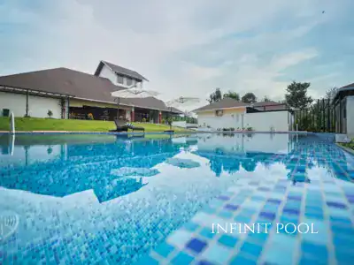 jungle bay resort wayanad