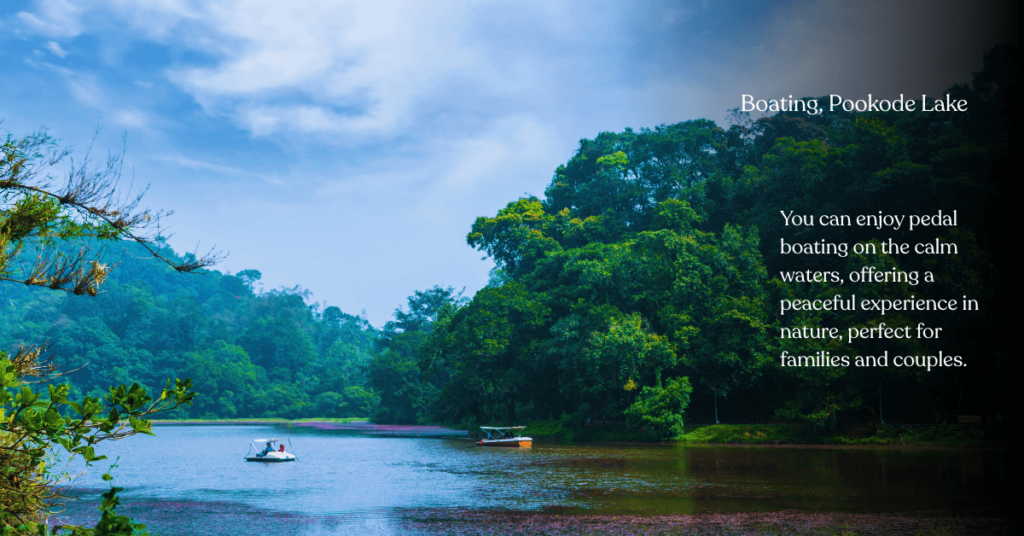 Pookode Lake Boating
