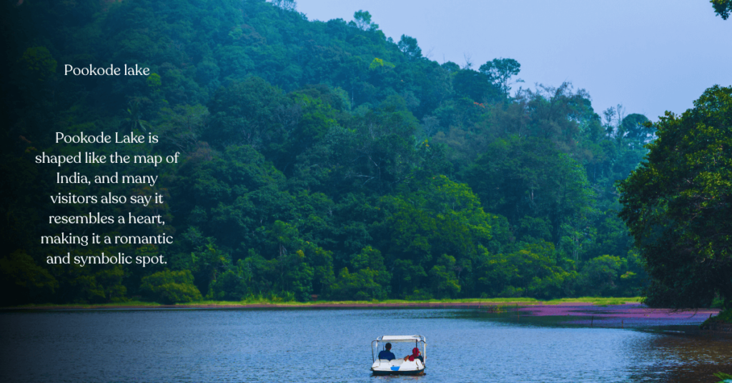 Pookode Lake Wayanad