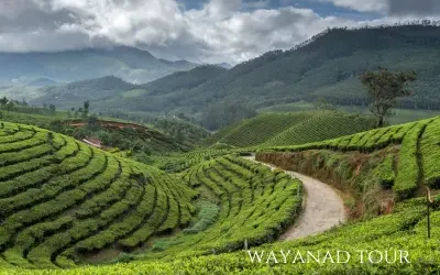 Bangalore to Wayanad Trip