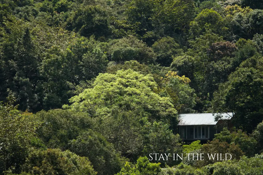 bangalore to wayanad 3 days itinerary