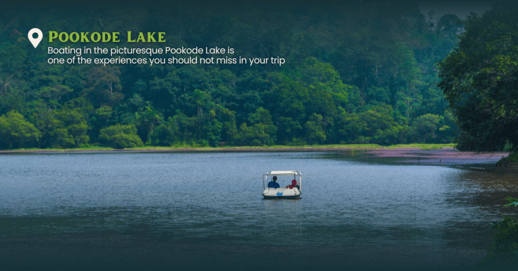 wayanad tour packages from bangalore