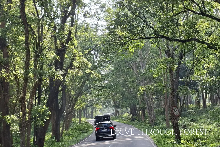 wayanad tour packages from bangalore