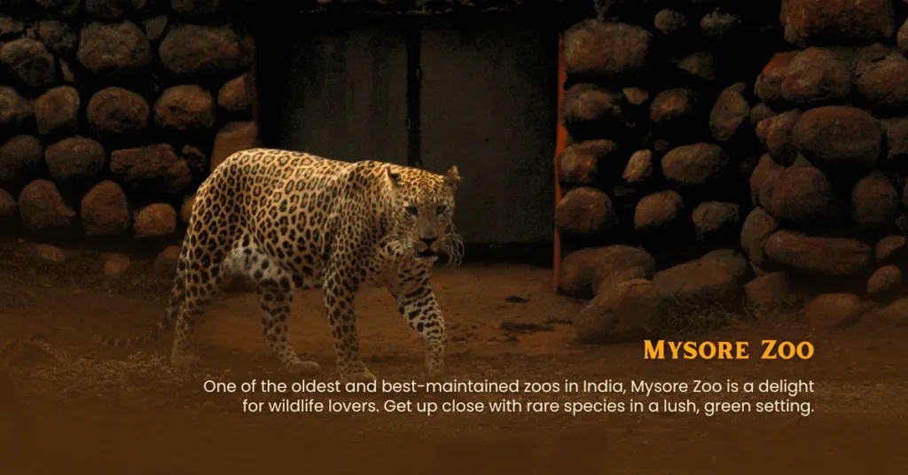 mysore coorg tour packages