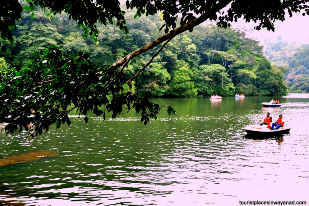chennai to wayanad tour packages