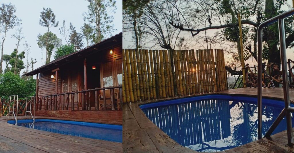 Wayanad Tree House Resort
