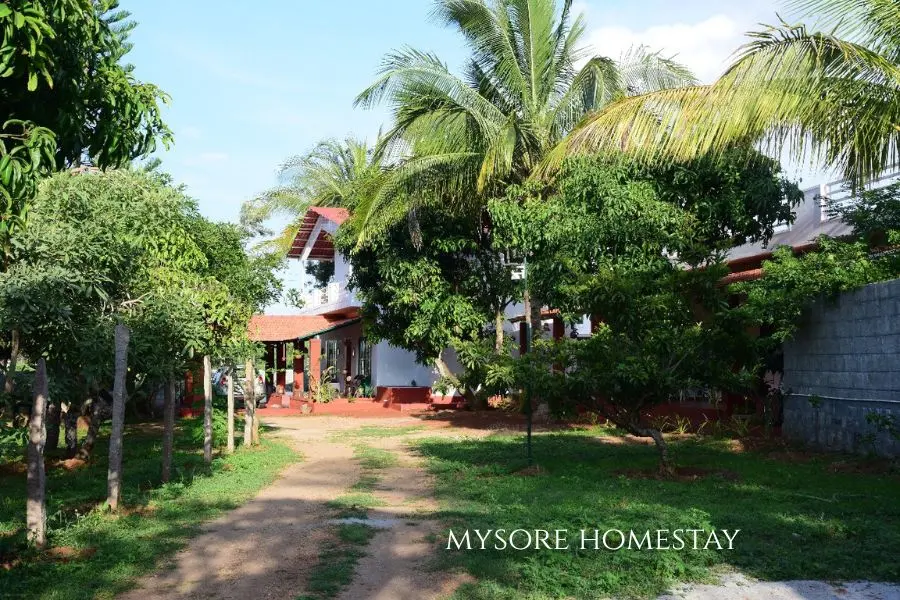 homestay in mysore