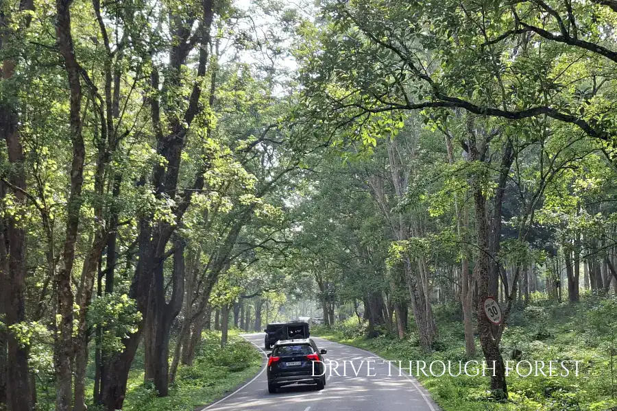 bangalore to wayanad trip