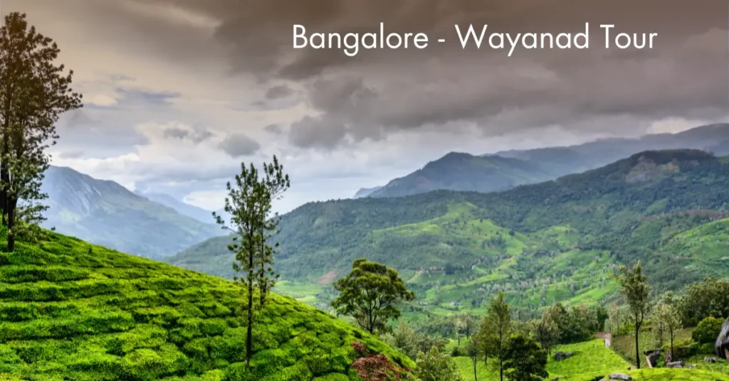 bangalore to wayanad trip