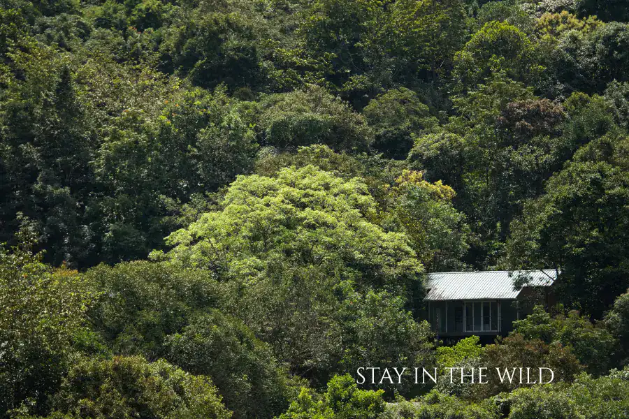bangalore to wayanad package price